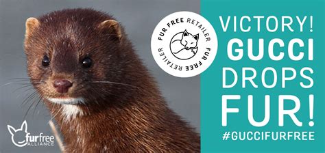 gucci no fur campaign|go fur free Gucci.